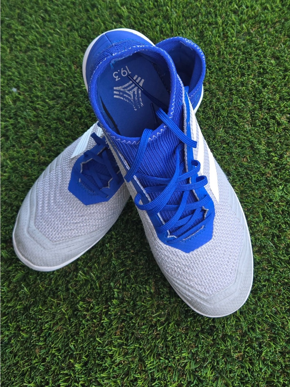 Adidas Blue & White Athletic Sneakers
